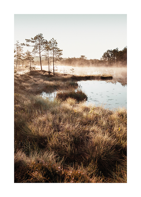  – Photographie d’herbe entourant un petit étang avec des arbres et du brouillard à l’arrière-plan