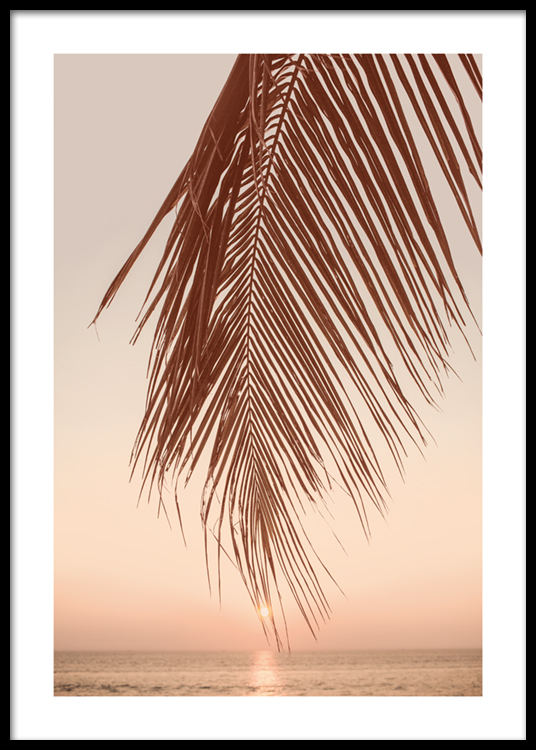 Sunset Palm Poster