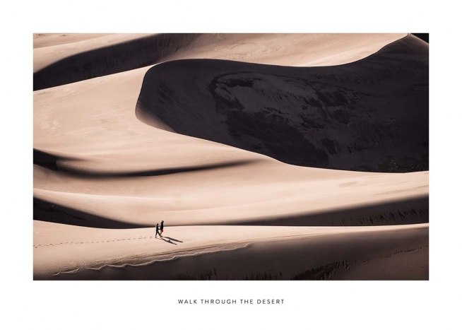 Walk Through The Desert Affiche