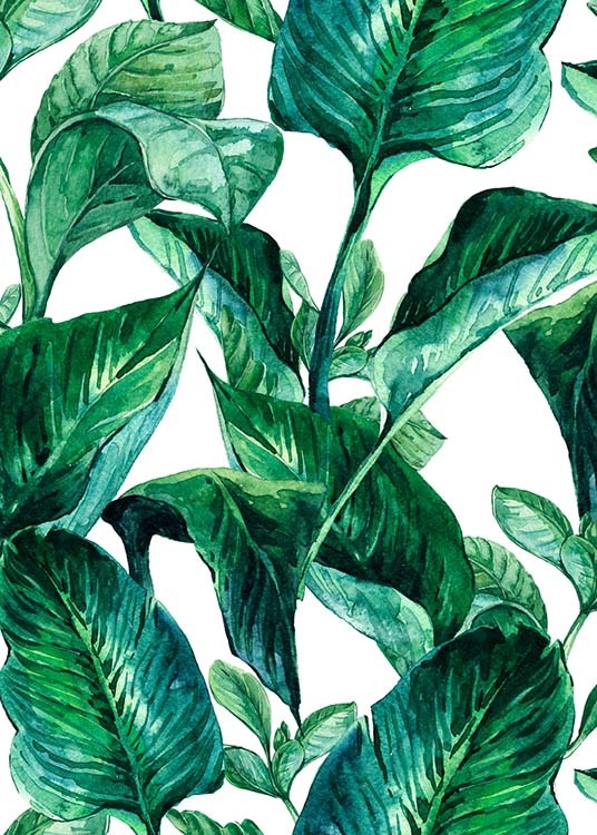 Green Leaves Pattern Poster / Kunstdrucke bei Desenio AB (2288)