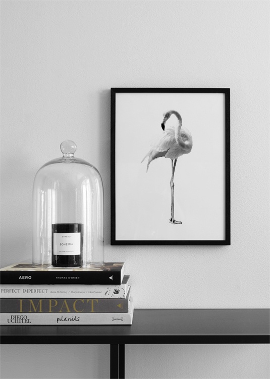 Flamingo Black And White Affiche Flamant Noir Et Blanc Desenio B