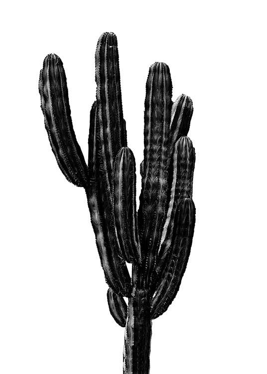  – Poster d'un cactus noir – idéal pour ceux qui n'ont pas la main verte