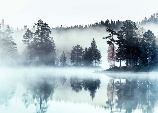 Foggy Lake Affiche / Nature chez Desenio AB (2720)