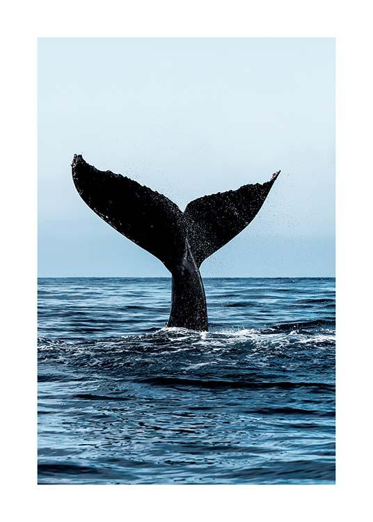Humpback Tale Affiche