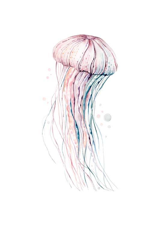 Aquarelle Jellyfish Affiche