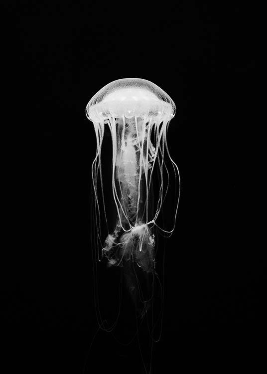 Jellyfish B&W Affiche