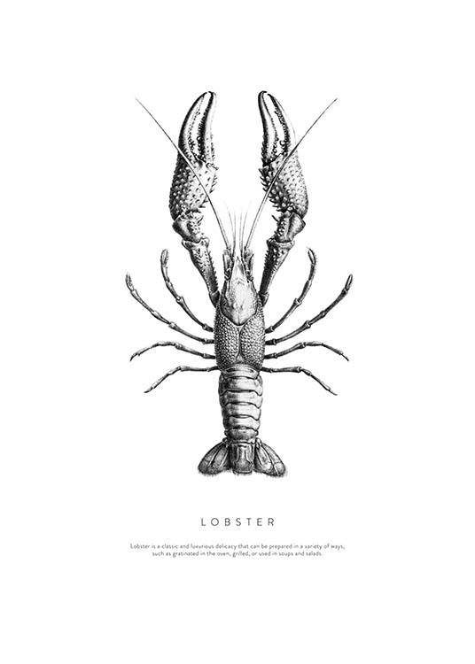 Lobster No1 Poster