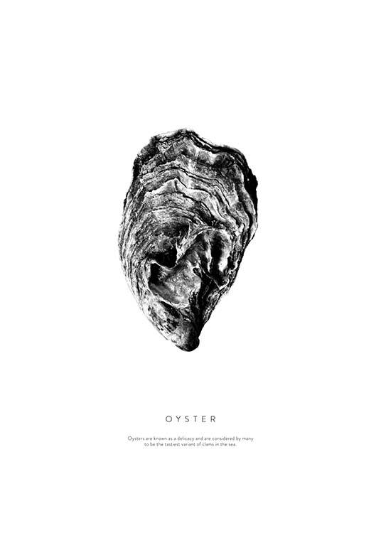 Oyster Poster