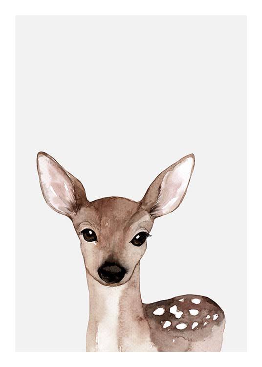Little Deer Affiche