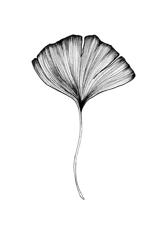 Ginkgo Leaf Poster / Schwarz-Weiß bei Desenio AB (3599)