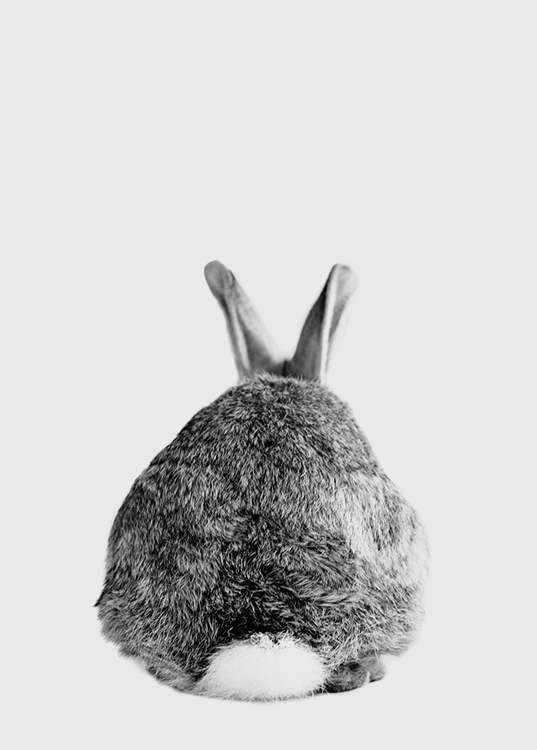 The Cutest Thing Affiche