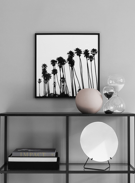 Venice Beach Palm Trees No1 Poster / Schwarz-Weiß bei Desenio AB (3776)