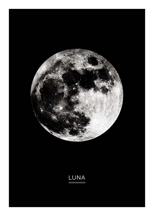 Moon In Black Affiche