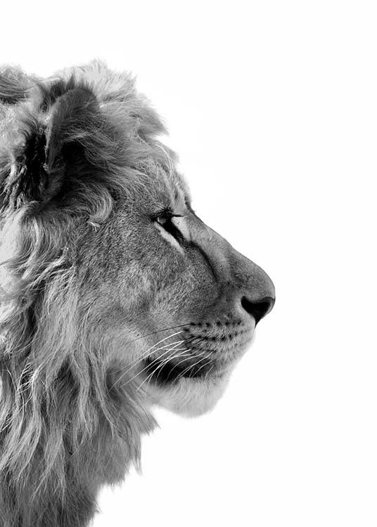  – Photographie en noir et blanc d'un lion de profil