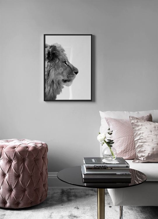  – Schwarz-weiß-Fotografie eines Löwen von der Seite