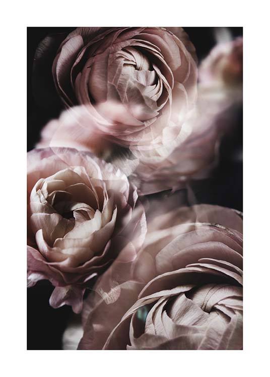 Fairy Tale Flower No2 Poster / Fotografien bei Desenio AB (3920)