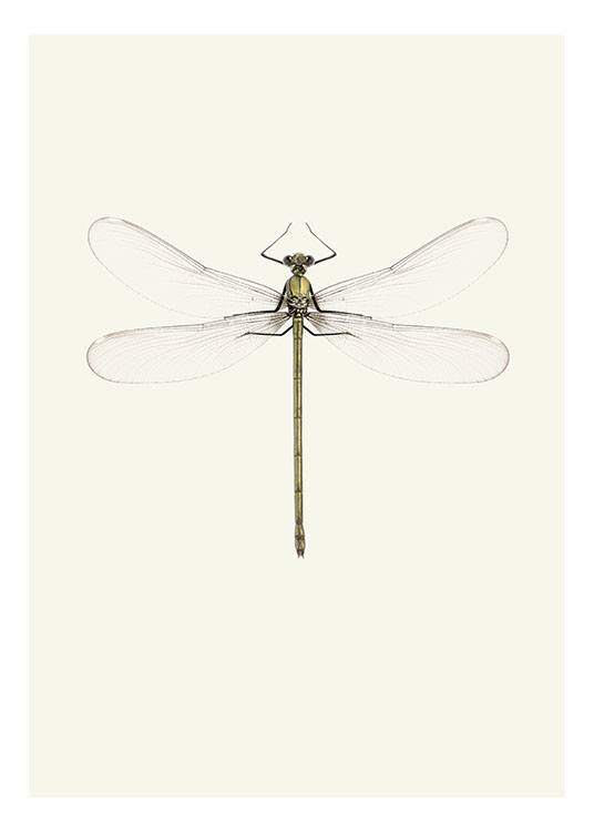 Vintage Dragonfly, Poster 