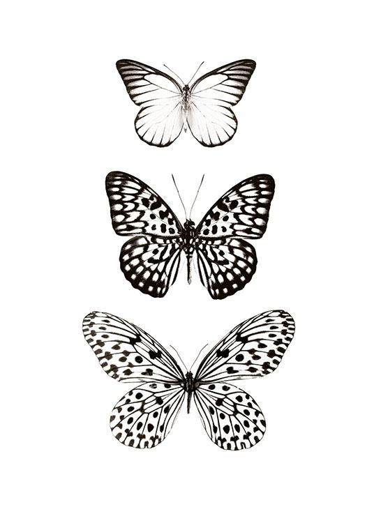 Three Butterflies, Poster