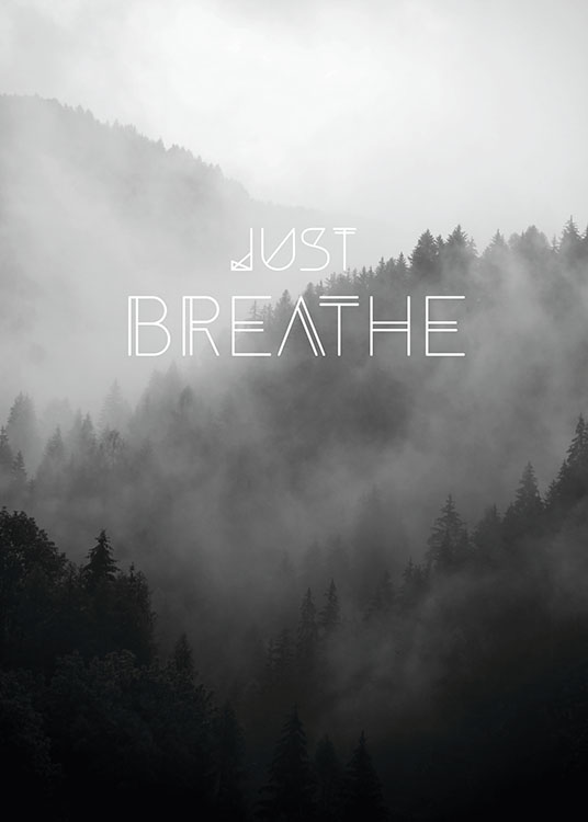 Just Breathe, Affiche
