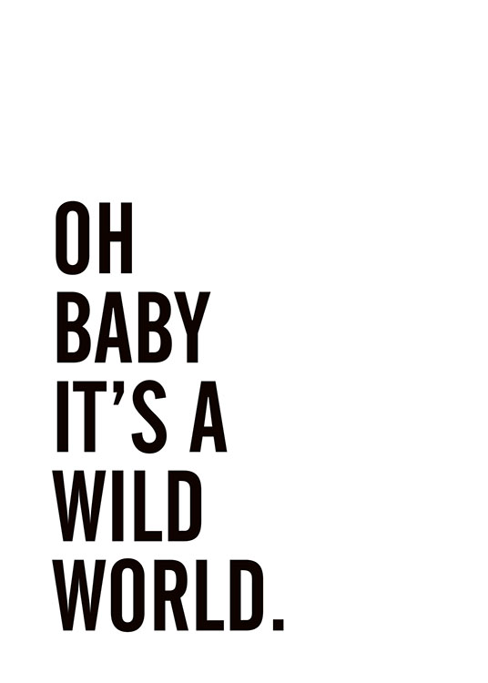 Wild World, Poster