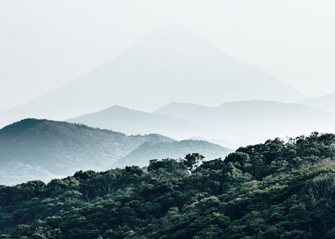 Forest Hills, Affiche