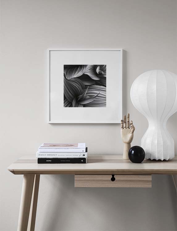 Hellebore, Poster / Botanik bei Desenio AB (8498)