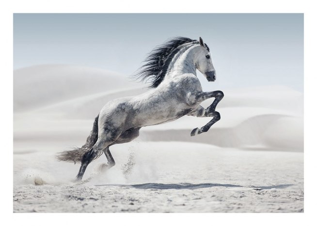 Andalusian, Affiches