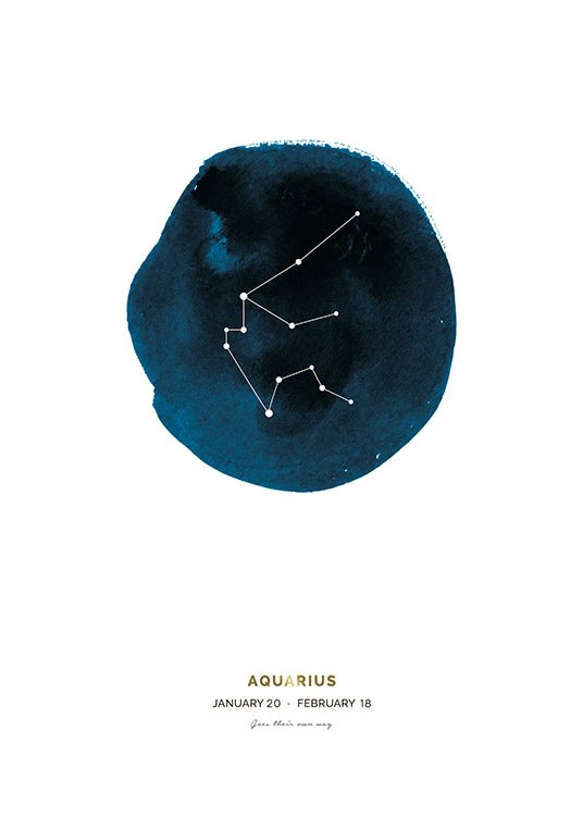 Aquarius Poster