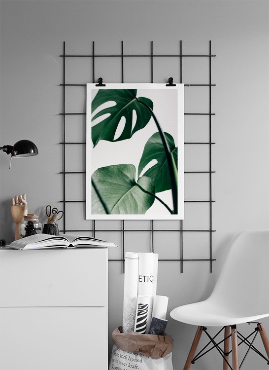  – Photographie d’un groupe de feuilles vertes de monstera sur un fond gris clair