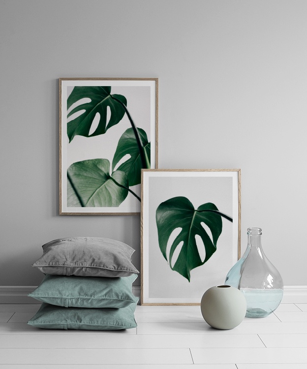  – Photographie d’un groupe de feuilles vertes de monstera sur un fond gris clair