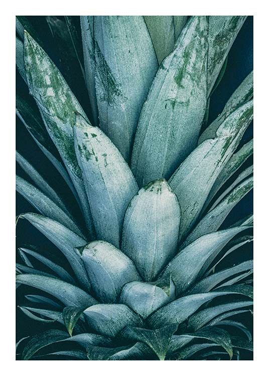 Pineapple Crown Poster