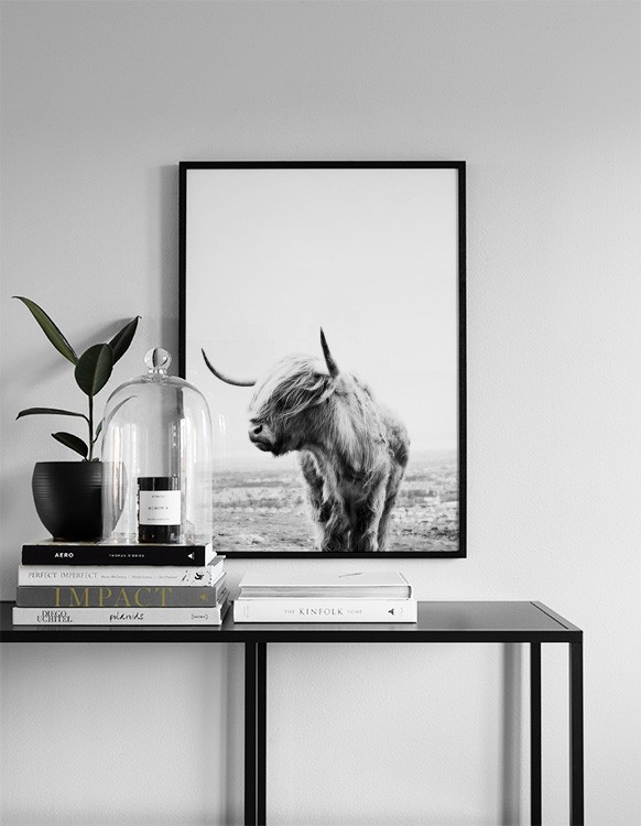  – Zwart wit foto van een hooglander die zijn kop opzij draait