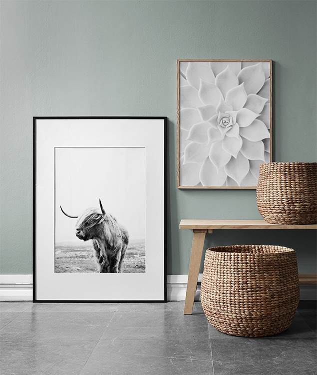  – Zwart wit foto van een hooglander die zijn kop opzij draait