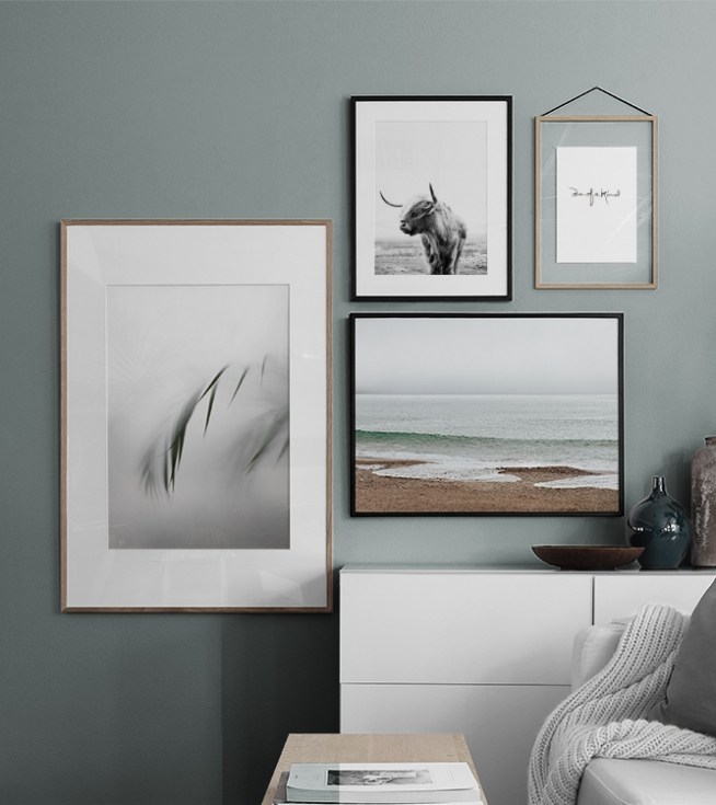  – Zwart wit foto van een hooglander die zijn kop opzij draait