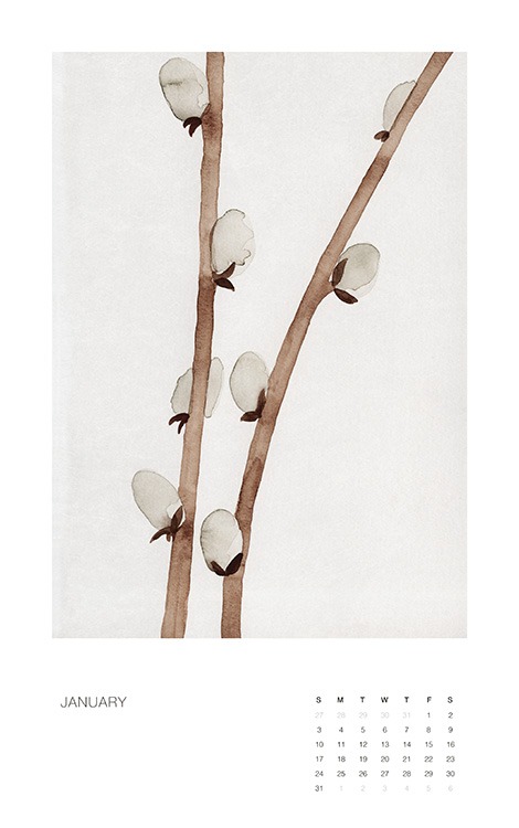 – Calendrier mural avec des illustrations botaniques de fleurs et de plantes pour chaque mois de l’année