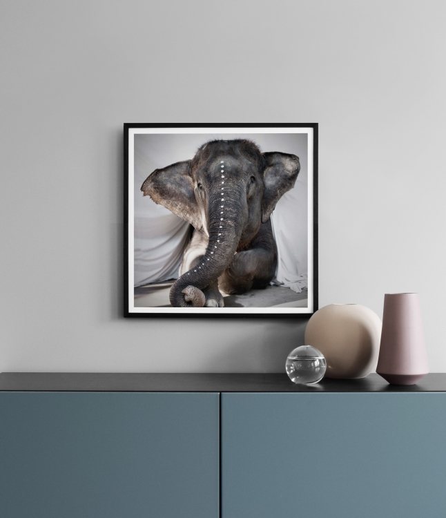 Love Warriors Adele Poster / Fotokunst bij Desenio AB (Pre5631)