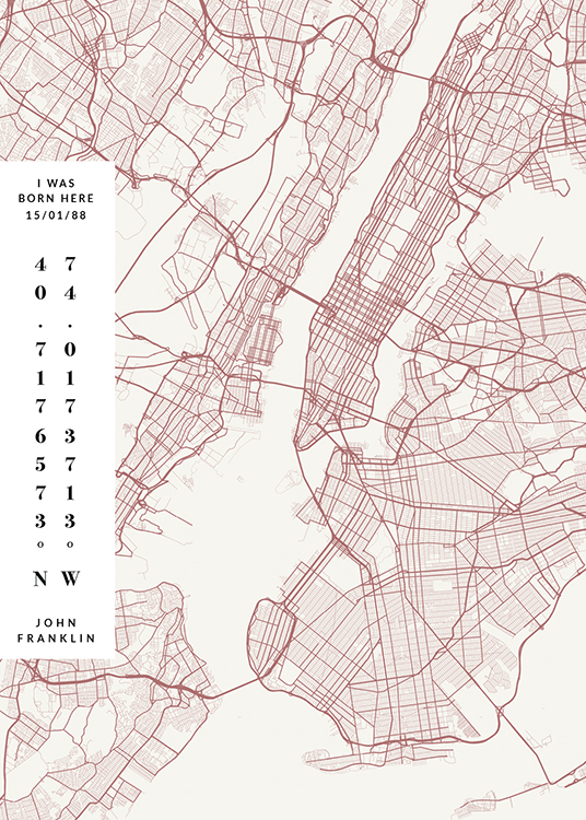 Map No2 Day Pink Personal Affiche