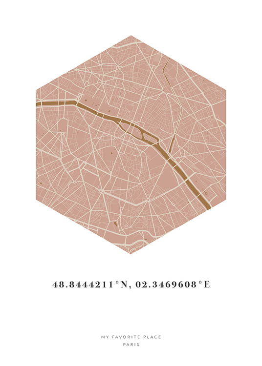 Hexagon Map Pink Mustard Personal Affiche