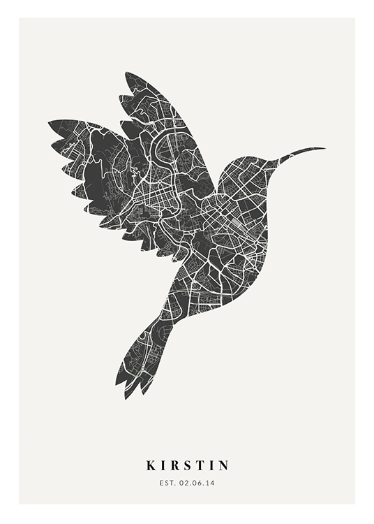 Bird Map Night Personal Affiche