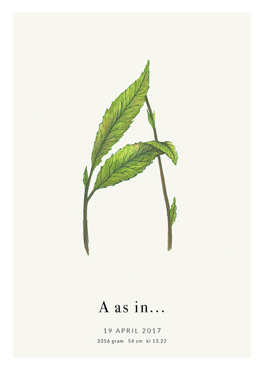 Botanic Letter A Personal Affiche
