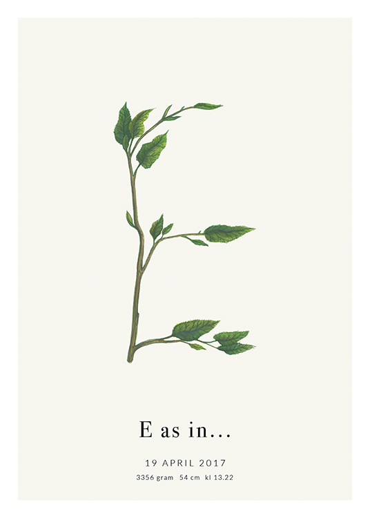 Botanic Letter E Personal Affiche