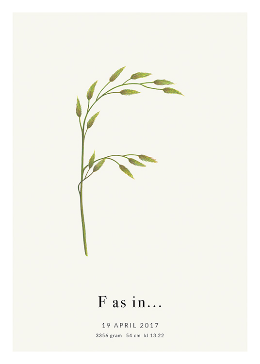 Botanic Letter F Personal Affiche