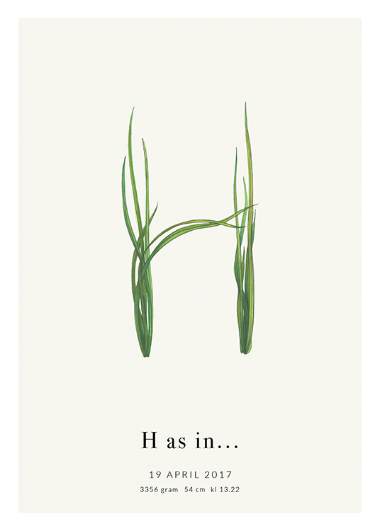 Botanic Letter H Personal Affiche