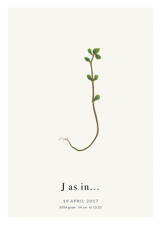 Botanic Letter J Personal Affiche