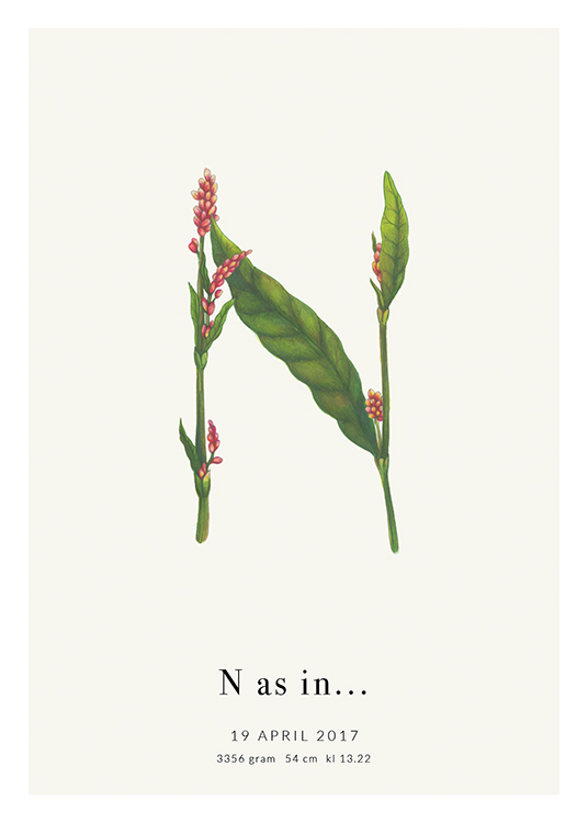 Botanic Letter N Personal Affiche