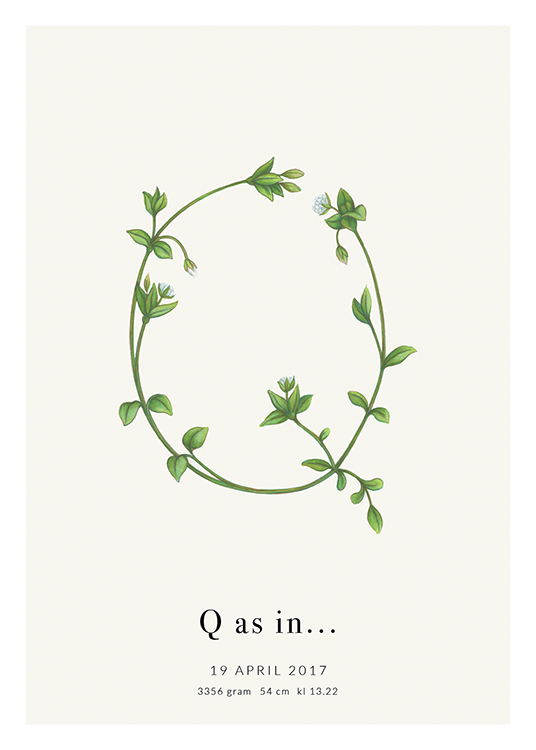Botanic Letter Q Personal Affiche