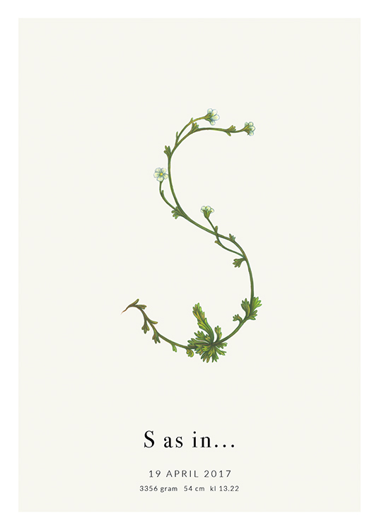 Botanic Letter S Personal Affiche
