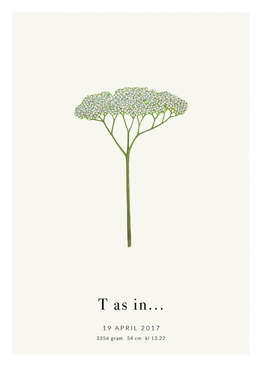 Botanic Letter T Personal Affiche