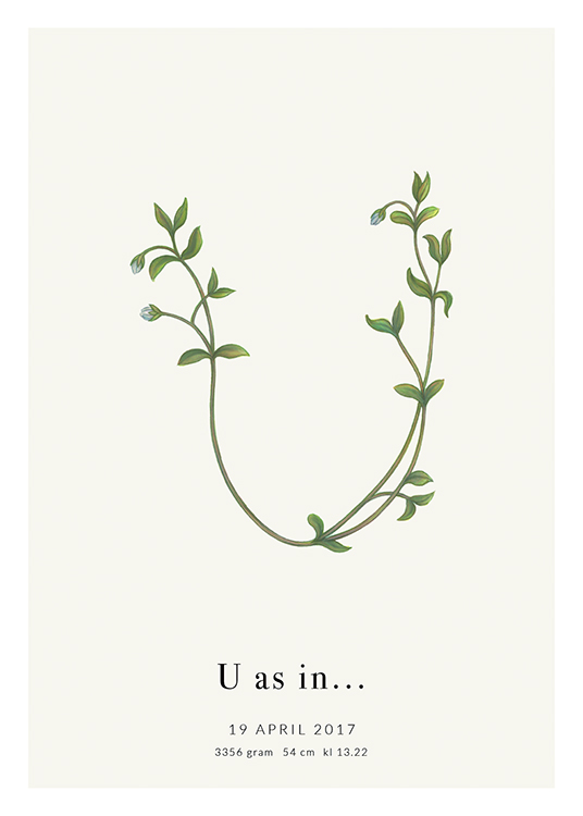 Botanic Letter U Personal Affiche