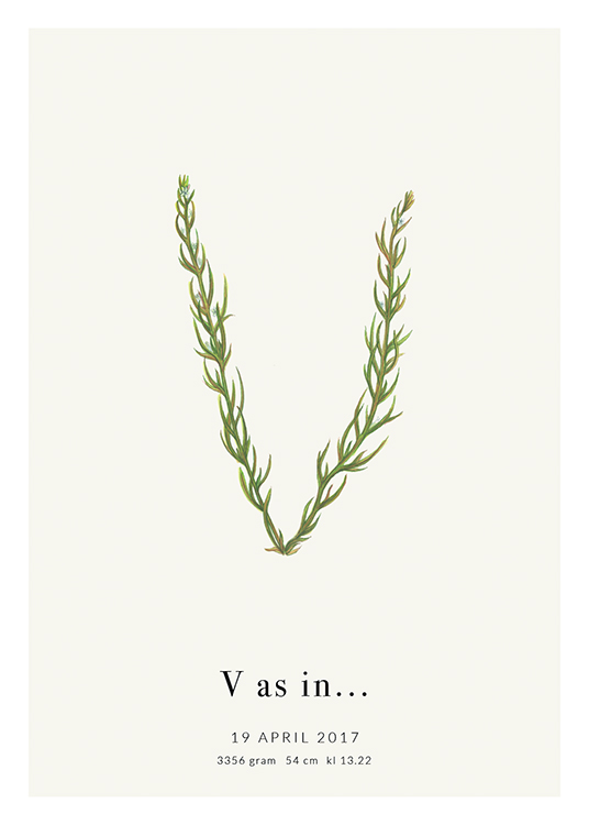 Botanic Letter V Personal Affiche